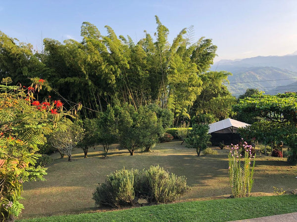Casa campestre con lote de 4.211 m² en La Cabaña